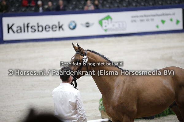 201 Mies H (Stakkato Gold x Baloubet du Rouet x Libero H)