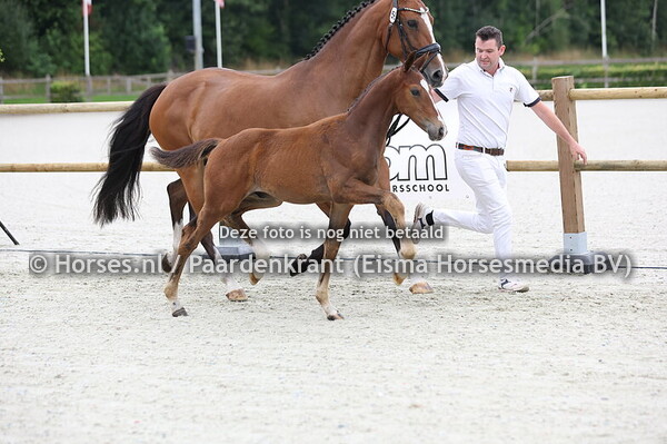 56 Vanino (Bon Courage x Kagranta v. Uphill)