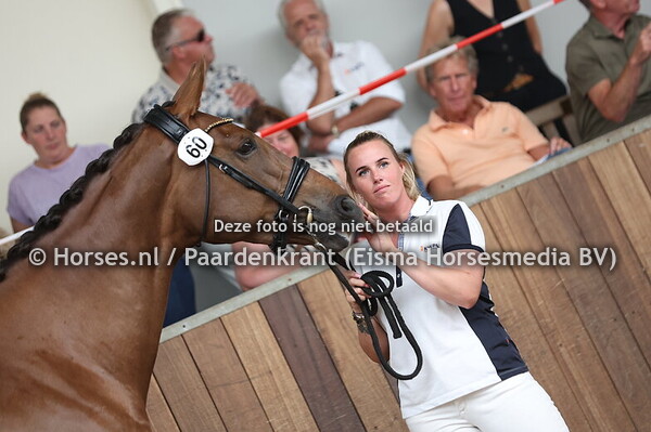 60 Living Dream TCE (Dream Boy x Nevina v. Wellington)