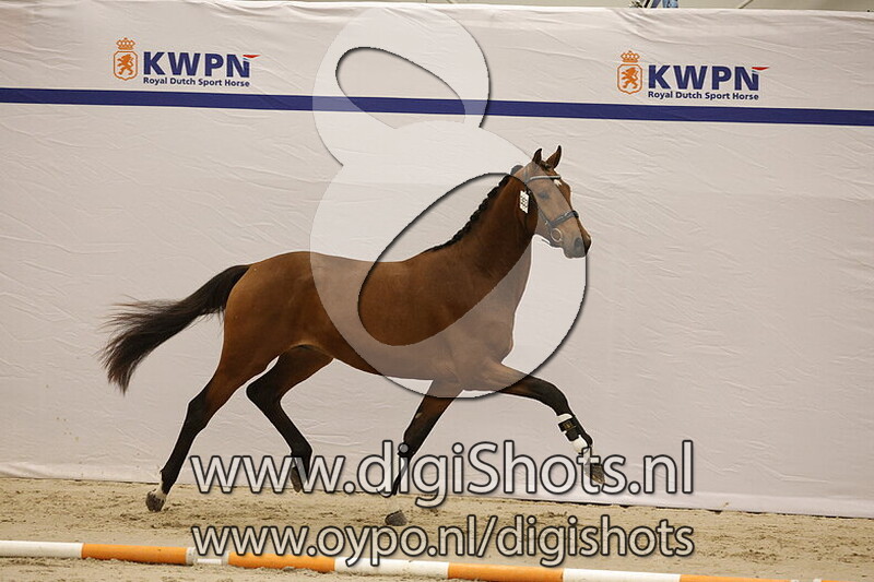 Sensation v. Furst Jazz