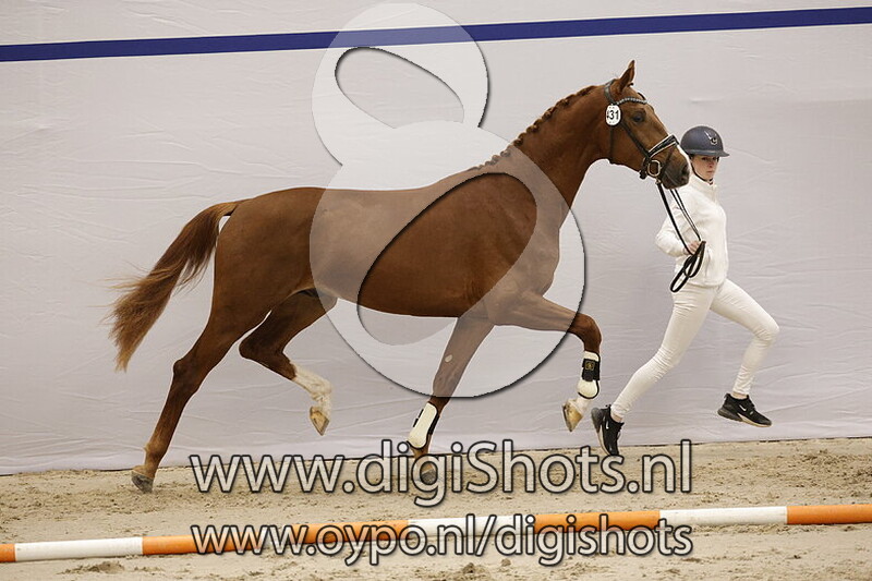 Sozarde van de Herkenhoek v. Lord Romantic