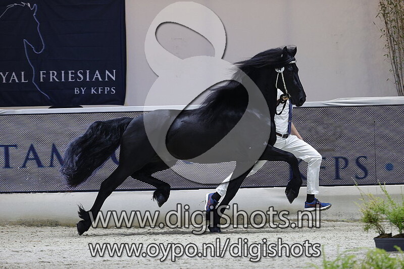 Fier P.A. van de Sprong