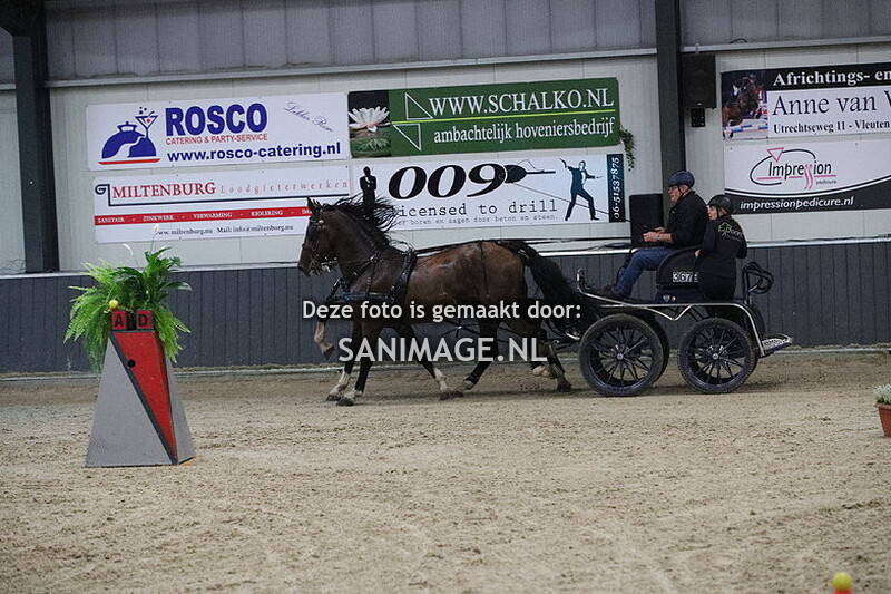 De Voornruiters De Meern Indoor Menmarathon 06-10-2023 Paarden 2-span (avond)