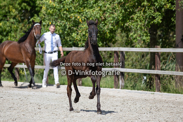 20. Amour fan Veldzicht