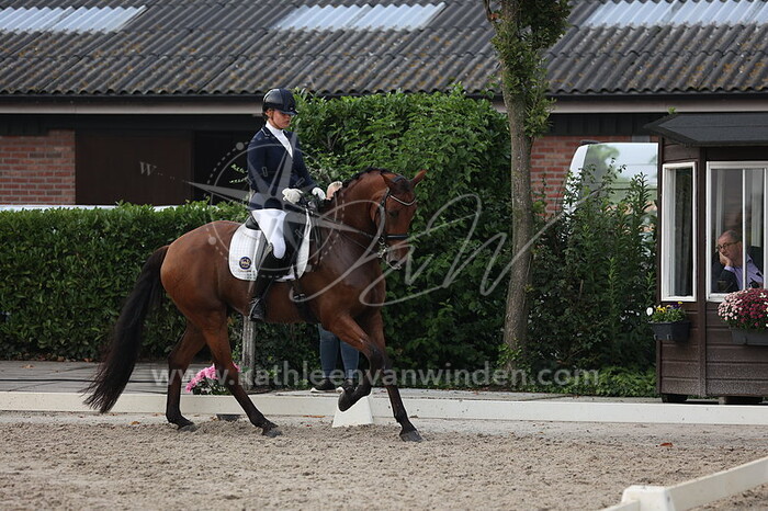 Lotje Schoots - Mufasa