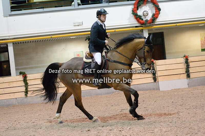 Nieuwjaarsjumping De Warre -ZON- Grote Prijs
