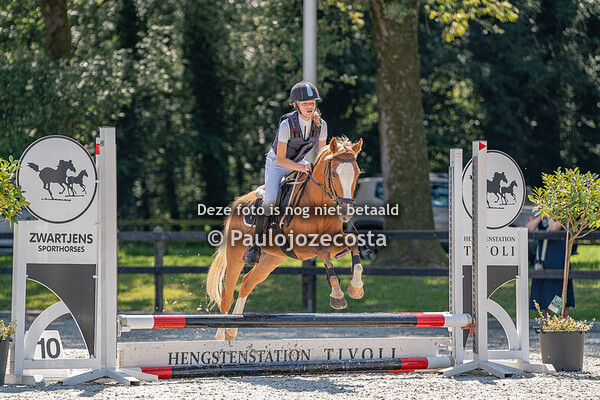 Galoppade 2024 50cm Ponys