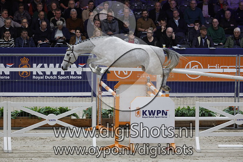 Peak VM v. Cohinoor VDL - 033