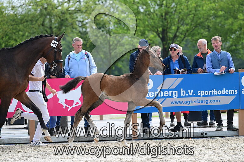 Unique Extreme - 109