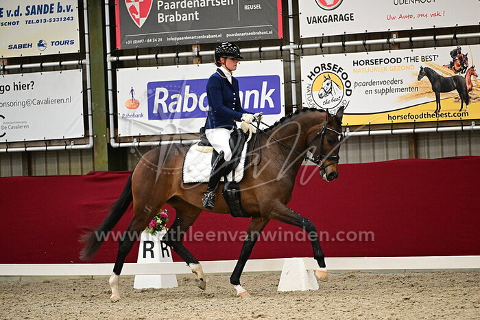 Estelle Knook - Rock 'N Rose Cara KVB