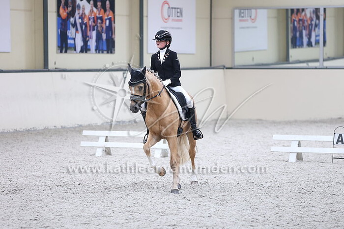 Jaclynn Otten - Diamonds Showtime