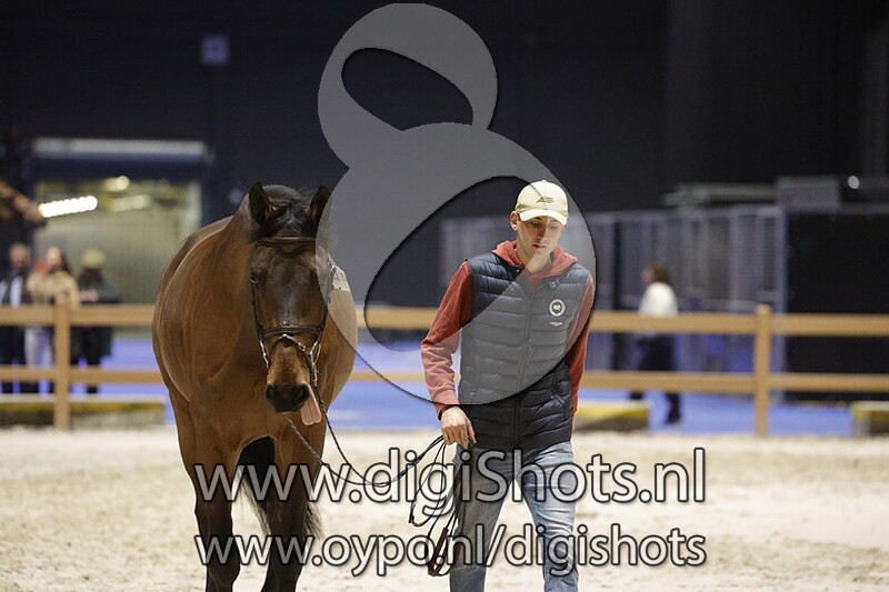 Dynastie de BeaufourÂ 