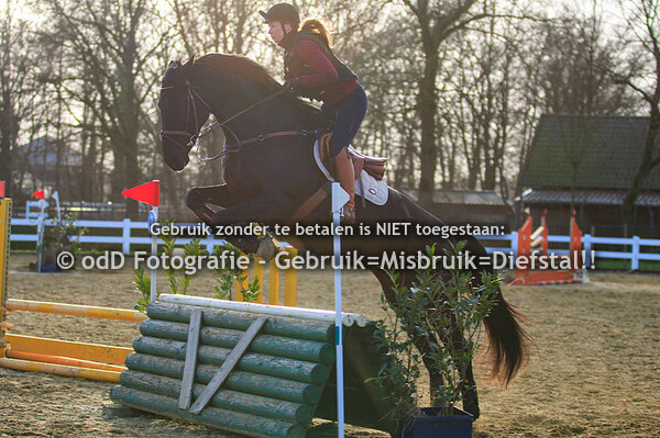 Trainingen Margo van Nijnatten Groep 7 15:00 04-02-23