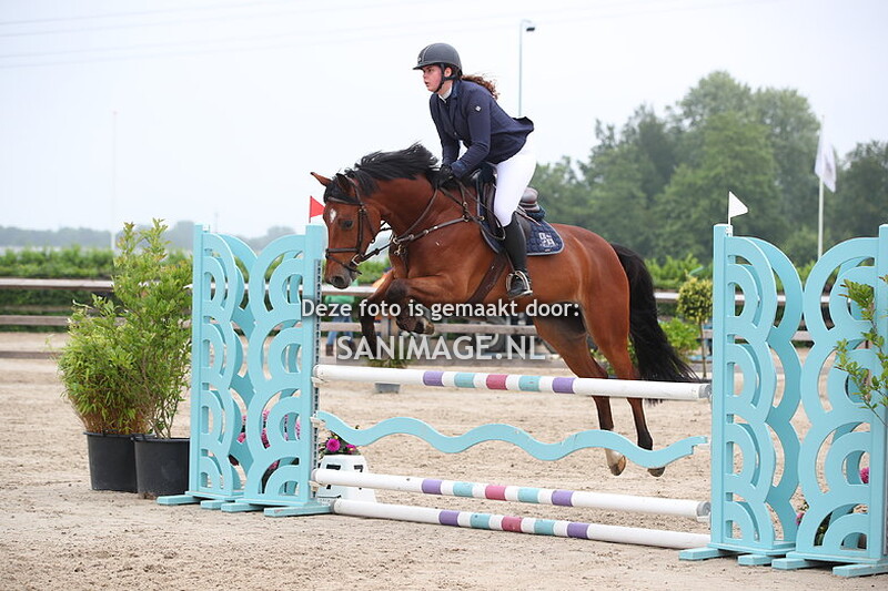 Zilfia's Hoeve Springen Paarden 01-06-2024 100 cm