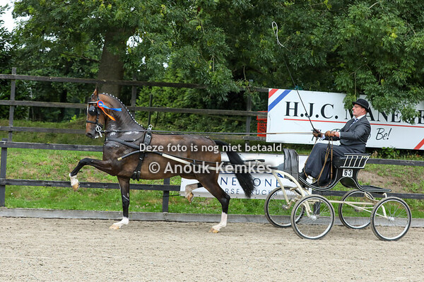 Alternatieve Ibop - Roline S ( Fantijn x Eebert )