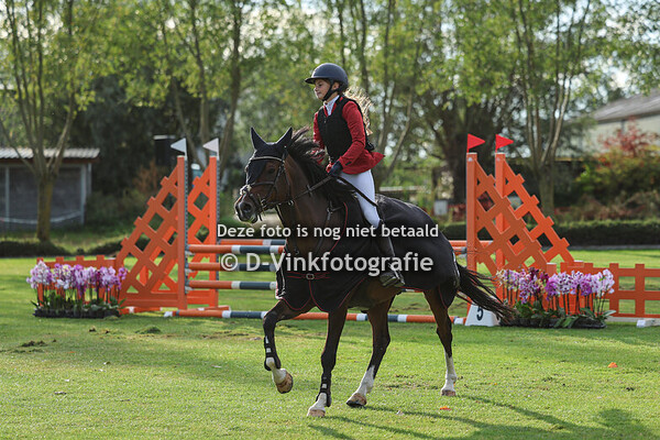 Rubriek 5: Black Horses Pony Cup Jaleco Prijs