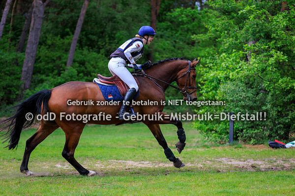 Grandorse Horsetrials Paard M 04-05-25