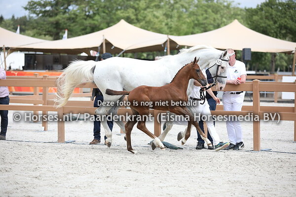 123 Olympic (Kempinski x Chiara v. Come Om)