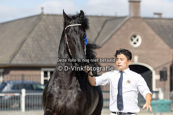 142. Senna fan Scyedam