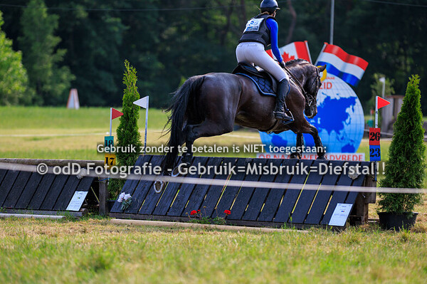 SGW Markelo Snorrewind Paard L Pony M 01-06-25