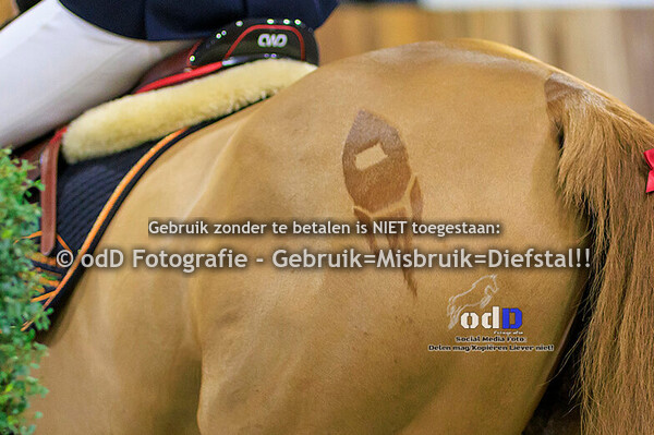 Indoor Deurne 14-11-24