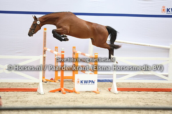 76 Sanne v Veecaten (Grandorado TN x Meike van Veecaten)