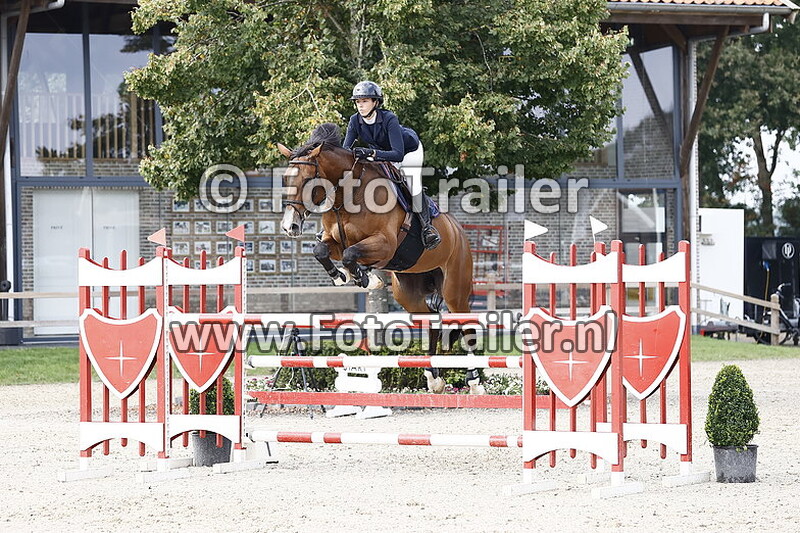 constanca almeida fernandes