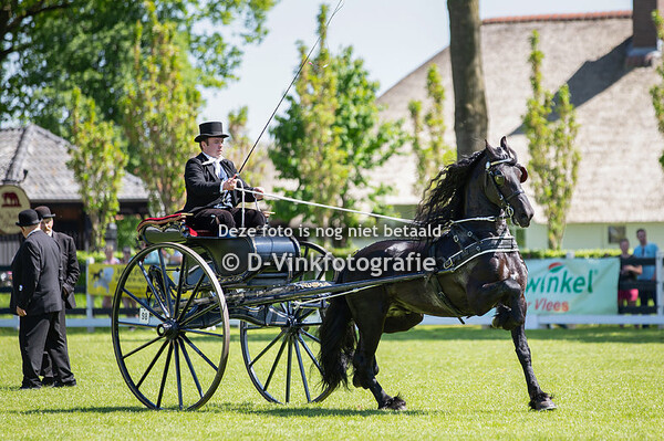 Siert 499 nieuwelingencompetitie