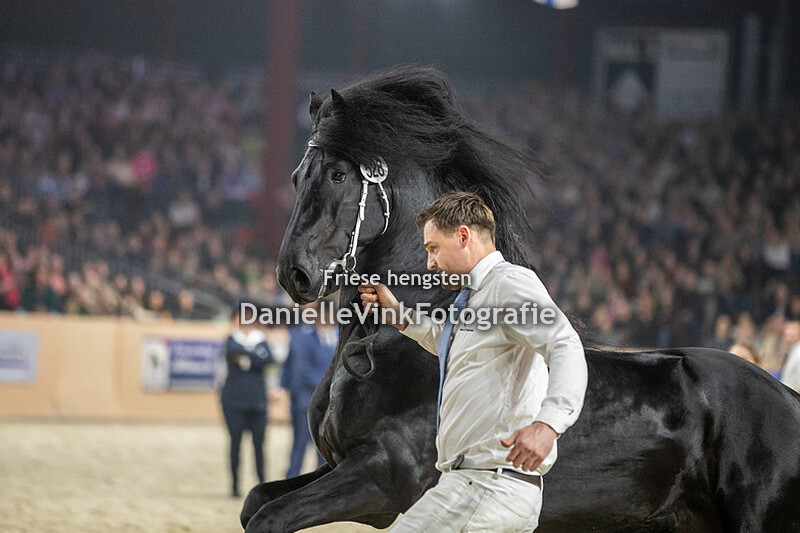 Hengstenkeuring 2023 Hildwin 528