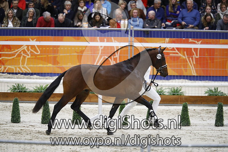 L Homme HM v. Glamourdale