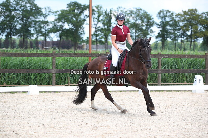 Manege Groenewoude Dressuur 23-06-2024 Ring 2 13.00 uur