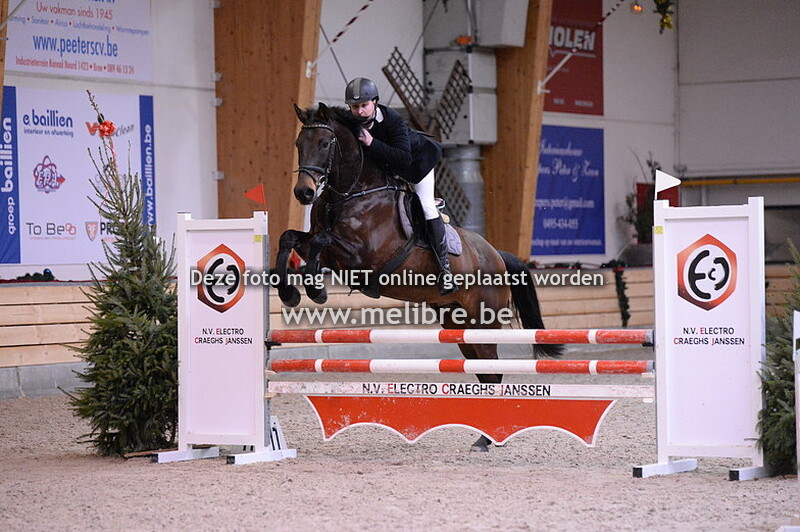 Nieuwjaarsjumping De Warre -VRIJ- 95 cm