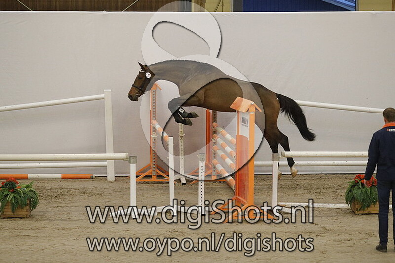 161 La Macoemba v. Grandorado TN