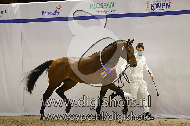 Oska JDV v. Cape Coral RBF Z