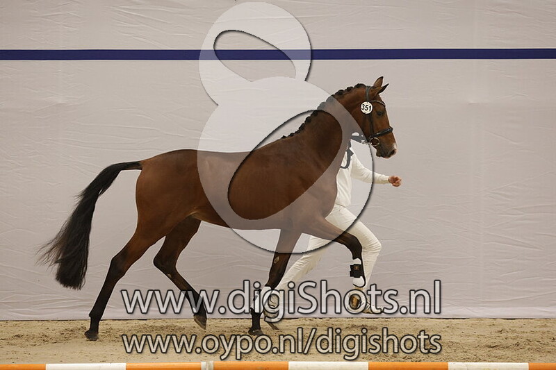 Furst von Flogeln v. Furst Belissaro