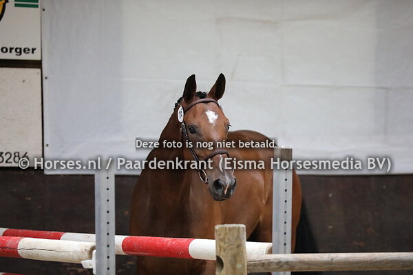 16 Liberty S v Farfan