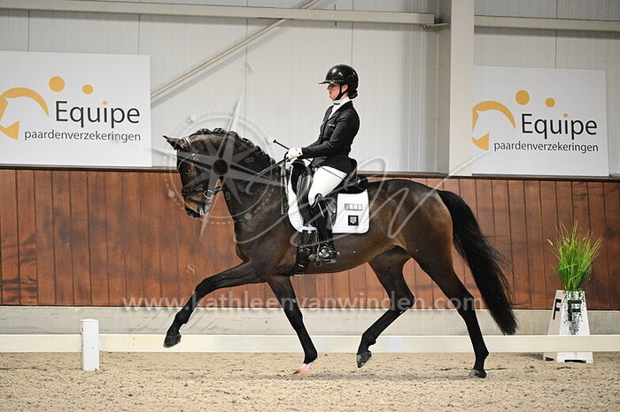 Maxime Osse - Royal Highness D.Obertje