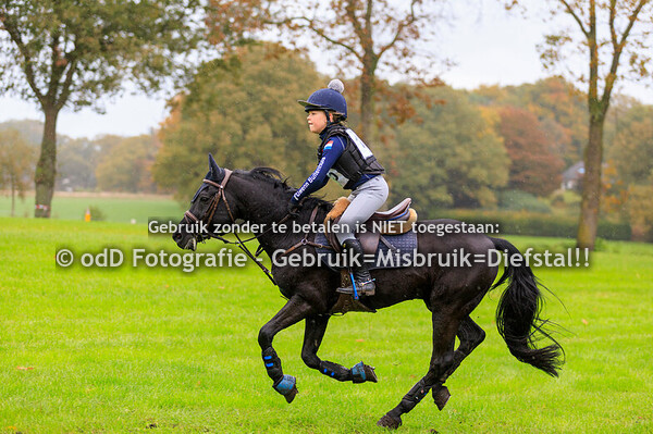 Eventing Barchem pony B 25-10-25