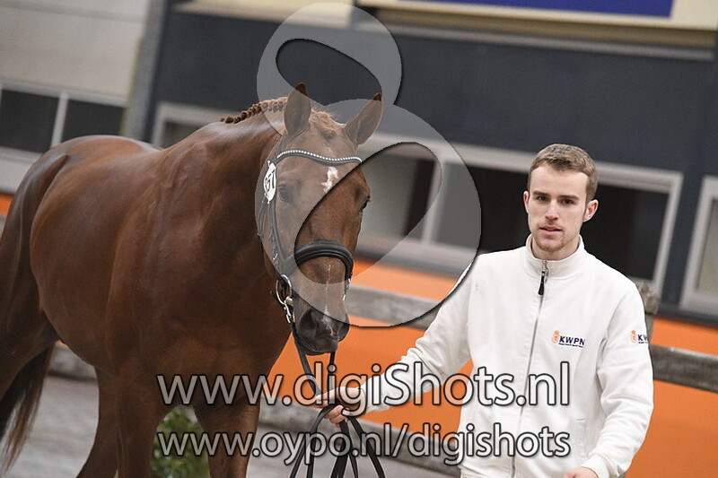 Nocino TC v. Dream Boy