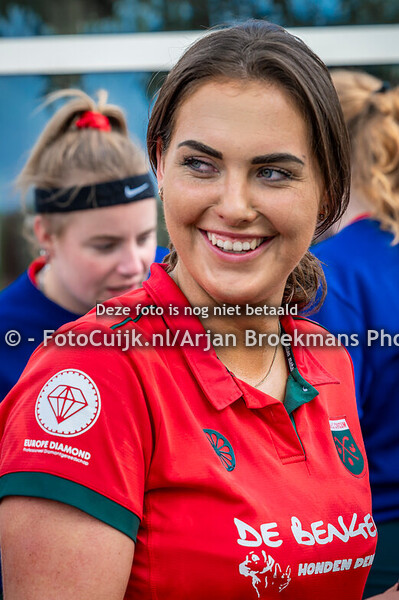 Civicum D2 - Don Quishoot D3