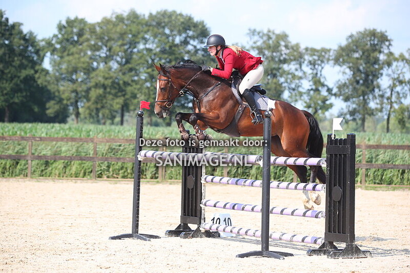 Manege Groenewoude 25-08-2024 Springen Paarden 110 t/m 130cm