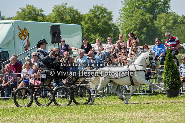 Utrechtse Dag van het Aangespannen Paard