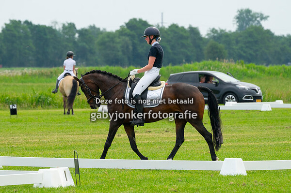Concours Hippique Gorredijk 18-06-2023