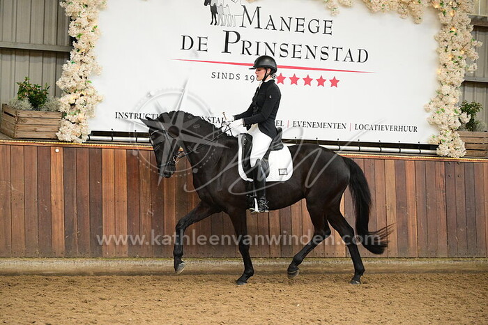 Carmen Schilder - Sunseeker