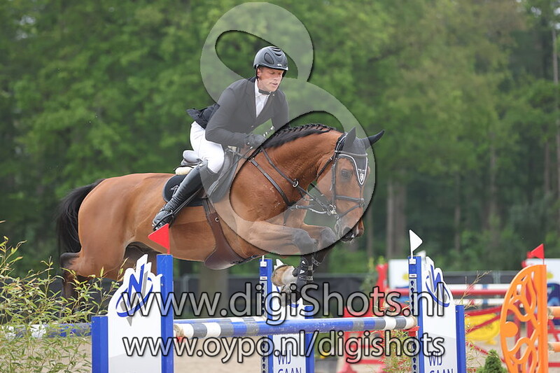 Balou van het Molenhof Z