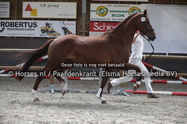 124 Loesje (All at Once x Harley v. Amazing Star)