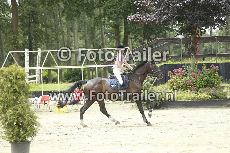 annelies pongers dannenberg