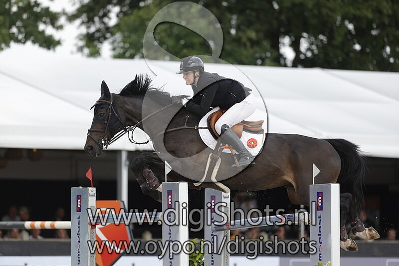 King Kong D'Avifauna