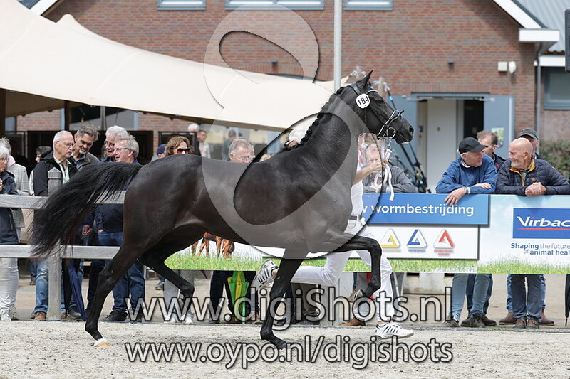 Schumathika M v. Livius