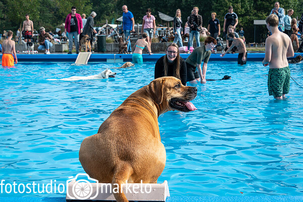 Doggyplons De Vijf Heuvels 2022